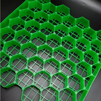 Solution de surface perméable moderne de grille de pavé d'herbe en plastique HDPE robuste pour les allées extérieures et les barrages