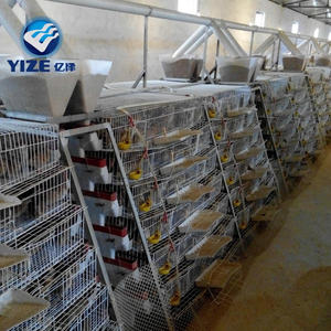 China fornecedor gaiola de codorna em tanzânia fazenda/gaiola de codorna com alta qualidade/gaiola com 3 tier - Product Image 1