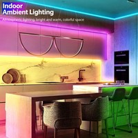 Guirlandes lumineuses LED néon tressées 5V, alimentées par USB/WiFi, contrôlées par application, indice de protection IP65, 30 LED/m, synchronisation musicale, matériau en peluche enveloppé, festivals