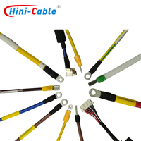 HINICABLE HYH-INT-062 OEM Faisceau de câbles électriques durable et personnalisable pour l'électronique industrielle, conducteur en cuivre CE