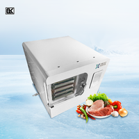 Machine de lyophilisateur à petite échelle à usage domestique 4kg 6kg 8kg 10kg 15kg Machine de lyophilisateur sous vide de viande fruits légumes pour la maison