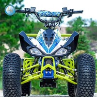 Quad électrique 800/1000W, VTT à quatre roues pour adultes et enfants, moto électrique, quad à 4 roues, véhicule tout-terrain pour jeunes