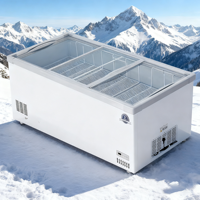 Offre Spéciale d'usine litre différent maison mini réfrigérateur d'aliments frais réfrigérateur congélateur maison réfrigérateurs hôtel mini réfrigérateur