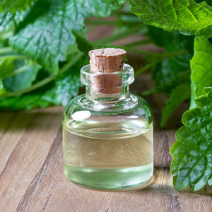 Free Sample Food Grade <strong>Peppermint</strong> <strong>Oil</strong> Organic for Capsules 100% Pure Natural Mint <strong>Essential</strong> <strong>Oil</strong> with Best Price Wholesale - Product Image 3