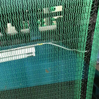 Filet de récolte d'olivier vert rete antispina, en hdpe, en grèce, italie, 10x12