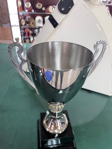 Bol en acier inoxydable, grand, disponible en 9.5, 10.5, 12.5, 14, 16, 17 - Product Image 5