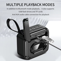 Altavoz Impermeable Portátil Inalámbrico con Subwoofer para Ciclismo, Campamento, Caza, Viajes al Aire Libre, Fiestas, Playa y Aventura