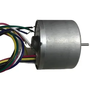 BL2418 3,7 V 12 V BLDC 24 MM Durchmesser hohes Drehmoment niedrige Geschwindigkeit rc bürstenloser Gleichstrommotor für Aquarium Preis