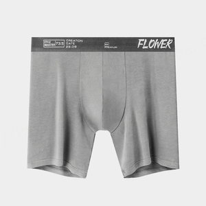 Wholesale Men's Large Size <b>Boxer</b> Briefs Breathable No Fly Pouch Sport Underwear with Logo on Waist for Fat Men with Long Legs - Product Image 6