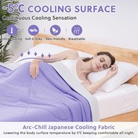 Couette Rafraîchissante Taille Double/Queen, Couverture Réversible Toutes Saisons pour Sueurs Nocturnes Gris Clair/Violet Double/Queen 90" X 90"