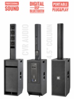 Excellent CVR AUDIO pour système de son audio écologique 150W activé pour les haut-parleurs de colonne de 12 pouces du studio de maison de fête