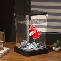 Klares Quadratisches Glas-Mini-Aquarium mit Farbigem LED-Bodenlicht für Betta-Fische, Wasserpflanzen, Schreibtisch-Dekoration für Guppy, Garnelen und Kleine Fische
