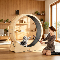 Roue d'exercice silencieuse en bois pour chat, tapis roulant pour chats d'intérieur avec griffoir, jouet de fitness, équipement d'exercice pour animaux de compagnie