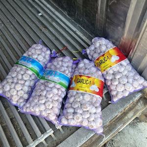 Calidad confiable 100% nuevo Material 5kg 10kg 25kg PE bolsa de malla verduras embalaje cebolla patatas ajo bolsas de embalaje - Product Image 1