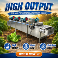 Machine à laver et à peler les pommes de terre, type brosse, pour le lavage et l'épluchage du gingembre, destinée à la transformation des fruits et légumes