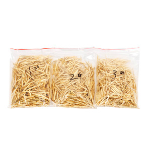 Pernos Dentales Dorados con Brida, 250 Piezas, para Uso Ortodóntico, Cuidado Bucal para Adultos - Product Image 3