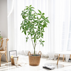 ต้นไม้ปลอมสำหรับตกแต่งในบ้านออฟฟิศต้นไม้เงินเทียมจาก5FT - Product Image 2