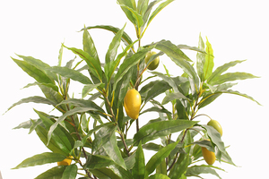 Árbol de <span class=keywords><strong>Mango</strong></span> Artificial Decorativo Nuevo y Personalizado en Oferta - Product Image 4