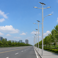 Lampadaire Solaire LED à Panneau Séparé, Étanche IP66, pour Extérieur, Longue Autonomie, Poteau de 4m, 20W, avec Télécommande