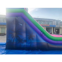 Toboggan aquatique gonflable commercial en PVC avec piscine et glissière pour adultes, idéal pour la maison, l'école ou l'extérieur