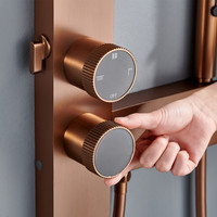 Nouvelle Collection 2026 : Ensemble de Douche Mural Thermostatique en Laiton Brossé avec Barre Coulissante et Jets Pluie Cascade, Triple Commande Moderne pour Salle de Bain