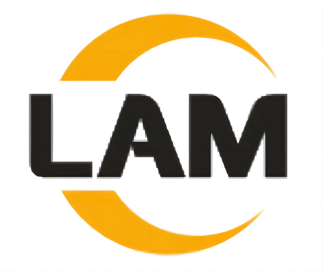 Shenzhen Lianmei Electronic Technology Co., Ltd. logo