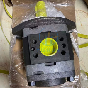 Pompe à engrenages interne IPVP3 IPVP4 IPVP5 IPVP6 IPVP7, pompe à engrenages hydraulique haute performance pour système, en stock, garantie 1 an - Product Image 5