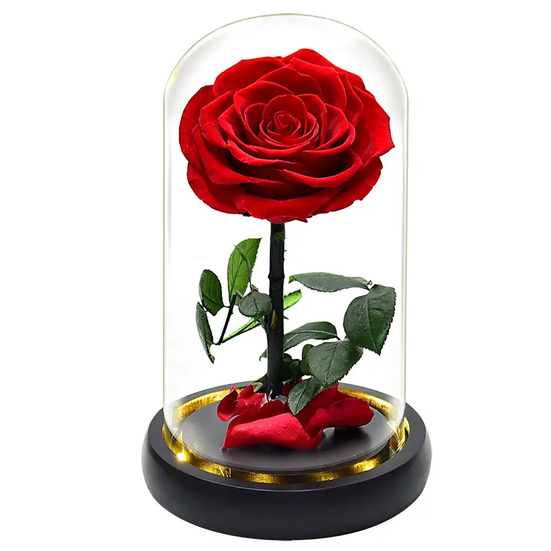 バレンタインの日のためのドームガラスの卸売グレードリーズナブルな価格保存された赤いバラ