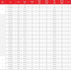 Pneus chinois PCR Chaoyang 205/<span class=keywords><strong>80R16</strong></span> SL369 pneus voiture - Product Image 3