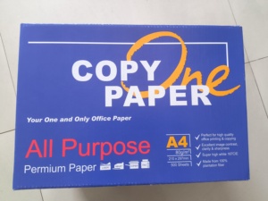Papel de Copia <span class=keywords><strong>A4</strong></span> Premium, Un Paquete de Hojas Blancas de Alto Brillo para Impresión y Copia en la Escuela, Oficina y Hogar - Product Image 1