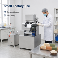 Ligne de production de savon miniature à petite échelle 20-200 kg/h pour petite usine, faible investissement, rendement élevé sur l'investissement