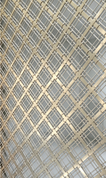 Panneaux de séparation de pièce pliables translucides découpés au laser en aluminium sur mesure, style Art Déco, pour hall d'hôtel, jardin extérieur - Légers