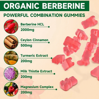 Compléments alimentaires en gommes OEM de qualité alimentaire : Myo-inositol, chlorhydrate de berbérine (HCL), Moringa, Patchs et Gommes saines à la berbérine 500mg