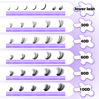 Cils individuels à greffer soi-même avec logo personnalisé, 30D40D60D80D100D, cils segmentés en grappe avec pointes et cils inférieurs