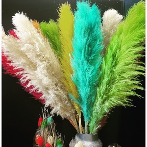 LIQUIDATION TOTAL - Product Image 4