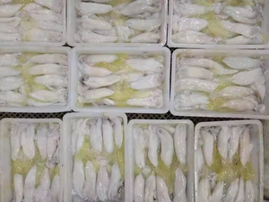 N-131 Vente Chaude Oeufs De Calmar <span class=keywords><strong>Illex</strong></span> Frais Gros Oeufs De Calmar - Product Image 2