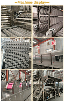 Ligne de production de nouilles instantanées de palme de qualité supérieure d'usine ligne de traitement automatique de nouilles instantanées commerciales