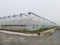Serre en film plastique multi-voûtes pour légumes, système hydroponique, système de ventilation et de refroidissement automatisé
