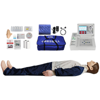 Modèle de mannequin de RCR pour adulte avec écran de 4.3 pouces Mannequin médical complet avec contrôleur et impression pour la formation aux premiers secours