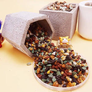 Mezcla de Tierra para <span class=keywords><strong>Cactus</strong></span> y Suculentas, Ingredientes: Perlita, <span class=keywords><strong>Akadama</strong></span>, Zeolita, Kanuma, Rainbow Leca, Pumice, Maifan, Lava Roja y Negra - Product Image 6