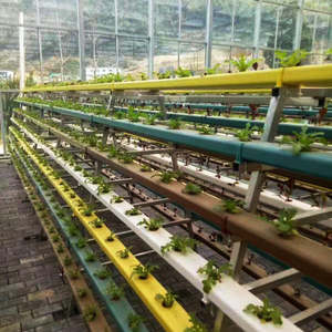 Grande Sistema Idroponico con Irrigazione a Goccia e Copertura in Lastra di Policarbonato - Product Image 6