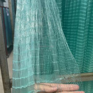 Rete Da Pesca A Trascinamento 10x65FT – Rete Senna In Polietilene Verde Per Spiaggia