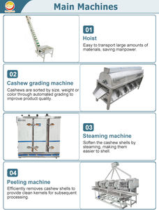 خط إنتاج آلي لمعالجة الكاجو من الشركات المصنعة، آلة معالجة الكاجو الجديدة الأعلى مبيعًا بسعر منخفض - Product Image 4