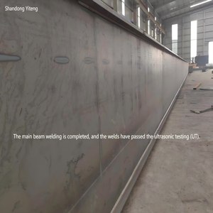 Cầu trục dầm đôi tiêu chuẩn Châu Âu kích thước tùy chỉnh và màu sắc hội thảo-sản phẩm tùy chỉnh - Product Image 2