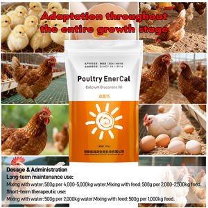 Complément alimentaire pour volailles EnerCal - Calcium chélaté aux acides aminés pour la qualité des coquilles <span class=keywords><strong>d</strong></span>'œufs et la croissance osseuse - Additifs alimentaires pour volailles - Product Image 4