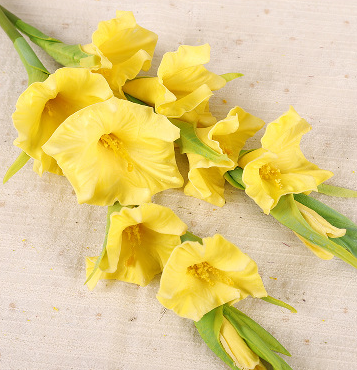 สีเหลือง