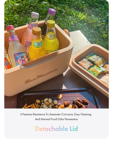 IceMaster Strapped Handled Portable 6 canettes 12QT 21QT Produits les mieux classés Drinkware Cooler Small Mini Coolbox Drink - Product Image 4