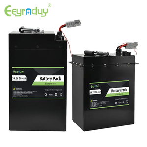 Factory Custom Lithium Ion <b>Battery</b> Pack <b>48V</b> 20Ah to 45Ah OEM With BMS for Analytical & Environmental Detection Instrument - Product Image 1