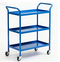 Chariots de manutention à rouleaux fabriqués en usine, divers matériaux, tailles personnalisées, capacités de charge robustes, utilisation pour le shopping, efficaces