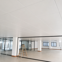 Dalles de plafond en aluminium insonorisantes, ignifuges et isolantes thermiquement, 600x600mm, revêtement poudré, à pose flottante pour